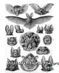 Grails, бар фото