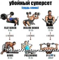 Elephant, спортивный клуб фото