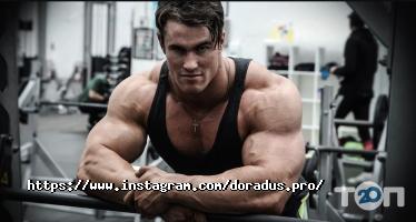 відгуки про Doradus фото