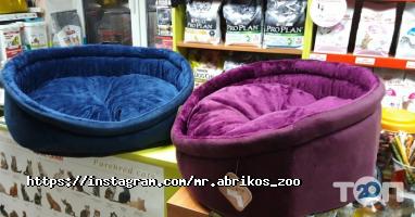 Абрикос, зоомагазин фото