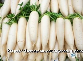 Город біля будинку, мережа овочевих магазинів фото