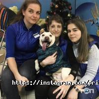 Природа, зоомагазин фото