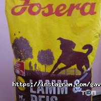 Гав&Мур відгуки фото