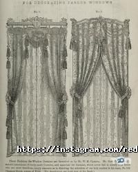 Рудий кіт, студія домашнього дизайну фото