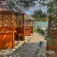 Авангард відгуки фото