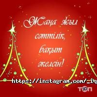 IQ отзывы фото