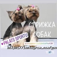 Гав&Мур, зоосалон фото