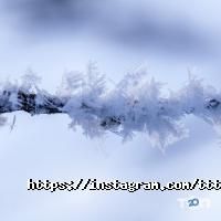 Ттт, мережа магазинів техніки фото