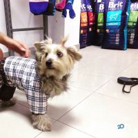 відгуки про Pets-friends.com.ua фото