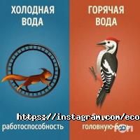 Eco su Астана фото