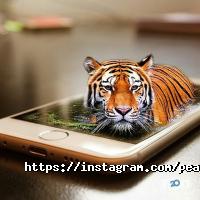 відгуки про Pear Service фото