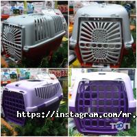 Абрикос Харків фото