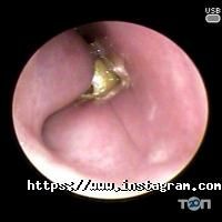 Headline Одеса фото