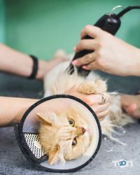 Ветеринарные клиники Хелсик фото