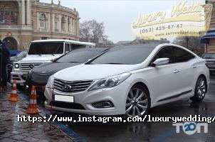 відгуки про Luxury wedding фото