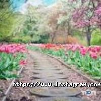 Ideas Garden, веб-студія фото