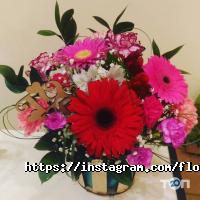 Флореле Дніпро фото