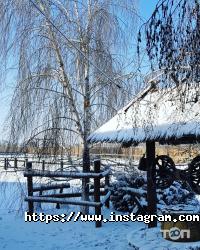 Ранчо дядюшки Бо Одесса фото