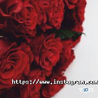 відгуки про Pan Kvitka фото