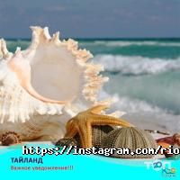RIO TOUR отзывы фото