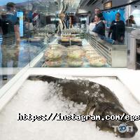Egersund Seafood, магазин з продажу риби фото
