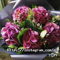Lisena отзывы фото