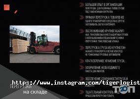 Вантажні перевезення Tiger Logistic Link фото