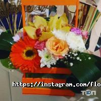 відгуки про Флореле фото