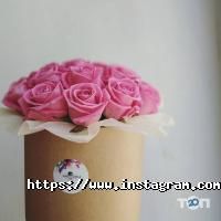 Pan Kvitka відгуки фото