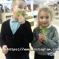 Mr Green Винница фото