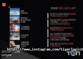 Tiger Logistic Link Одеса фото