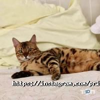 Природа Харків фото