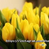 Магазини квітів Kharkiv_buket фото
