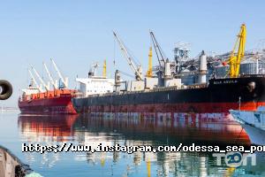 Одеський морський торговельний порт, ДП фото