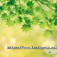 Голгофа, евангельская церковь христиан-баптистов фото