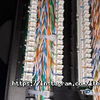 It-bastau фото