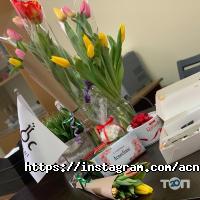 Косметологические клиники AcneClinic фото