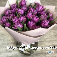 Магазини квітів Florista фото