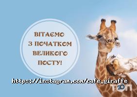 відгуки про Giraffe фото