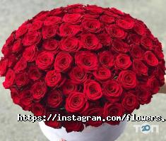 FG отзывы фото