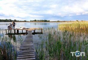 Бази відпочинку Дніпровські світанки фото