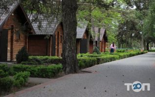 Лелеки, кінний двір фото