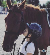 Бази відпочинку Лелеки фото