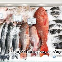 Egersund Seafood Київ фото