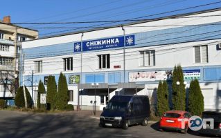 Сніжинка, хімчистка фото