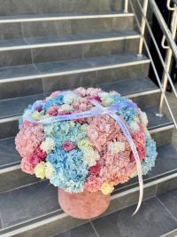 Wow Квіти by Kristina Shportun, квіти - фото 8