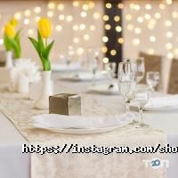 Terra відгуки фото