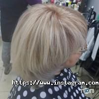Моне Житомир фото