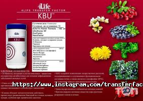 Трансфер Фактор Одеса фото