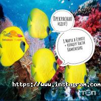 Катамаран-Тур відгуки фото